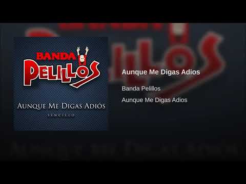 Aunque Me Digas Adios - Banda Pelillos