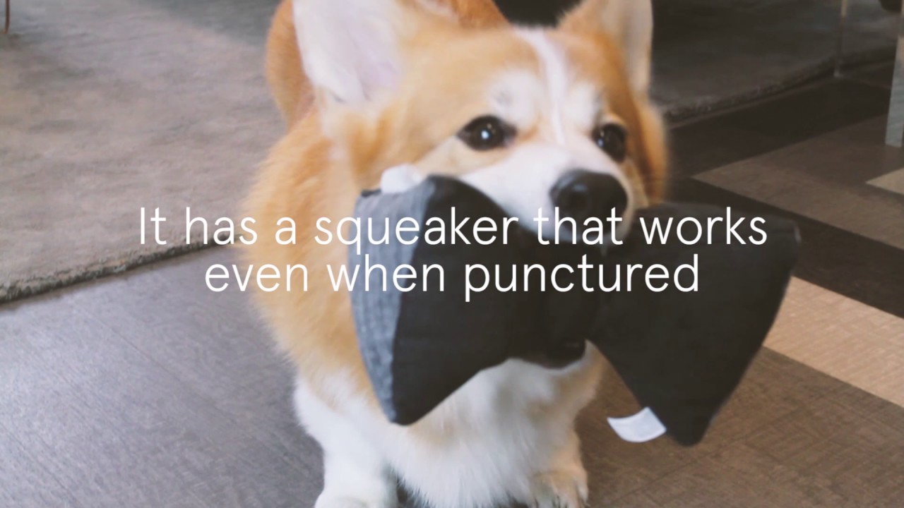 The Kena // Set of 2 video thumbnail