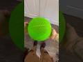 3D PRINTED NBA AIRLESS BASKETBALL ️ 3d Cool3dprints 3dprinting 3dprint 3dprintingmachine Nba