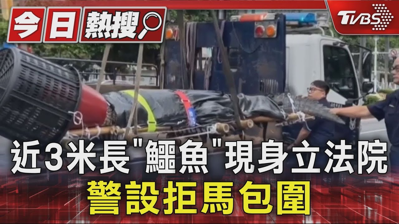 不滿農業部政策!養殖業者帶「河口鱷」現身立法院陳情
