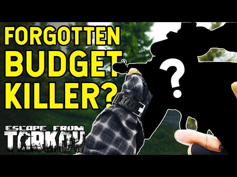The Most FORGOTTEN Budget Weapon In Tarkov... Cheap Chad Destroyers