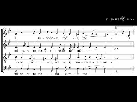 Play Video Youtube Video