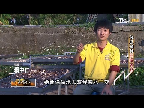 TVBS 一步一腳印 賴中仁 傻瓜精神 日曬香菇