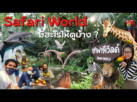 Safari World