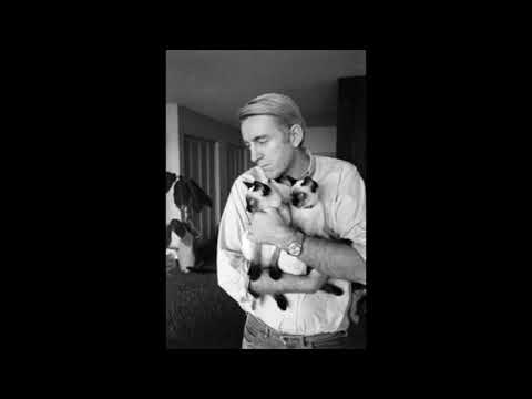 Summer Evening by Rod McKuen