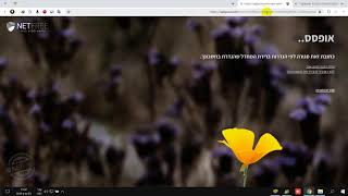 קבלת הרשאות root לbluestacks לצורך התקנת תעודת אבטחה