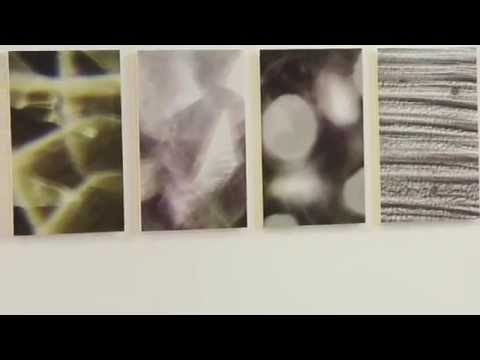 Helen Mac Mahon - Profero