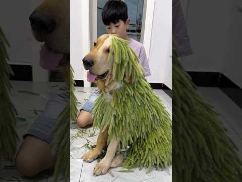 Diseñemos ropa nueva para mamá y el perrito.