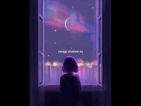 PAPHAL Acoustic (exclusive)