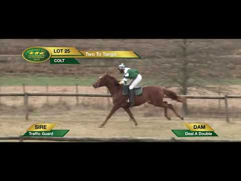 LOT 25 Two To Tango (Traffic Guard - Deal A Double)