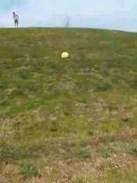 Not Paying Attention Rugby Fans Let Baby Roll Down Hill Before Catching Her