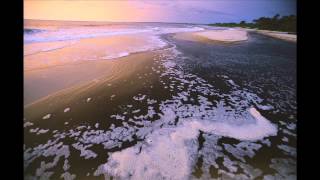 The Power to Protect the Ocean and Its Creatures