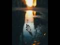 Mere Tumhare Khwab Wo Sare Female Version Status Ytshorts Shorts Kabhitumheyaad Shershaah