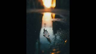 Download lagu Mere tumhare khwab wo sare female version status #ytshorts #shorts #kabhitumheyaad #shershaah mp3 Download lagu Mere tumhare khwab wo sare female version status #ytshorts #shorts #kabhitumheyaad #shershaah mp3