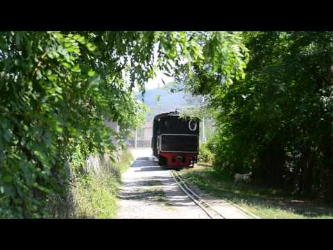 764-243 Crișcior - Brad