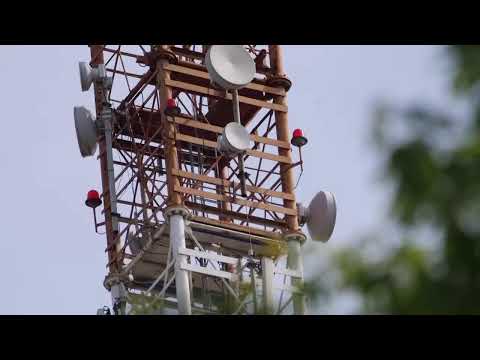 ✅ Il TG delle 13:00 del 1 settembre 2021