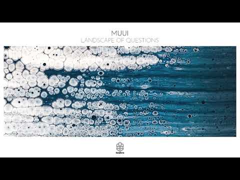 MUUI - Landscape of Questions