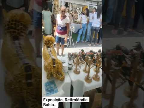 exposição, Retirolândia Bahia onde reuniu artesã da região sinaleira...