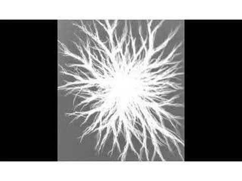 Life of a Rose (Consumed)