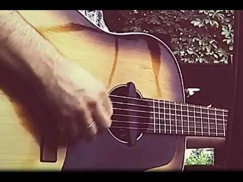 Schertler dual acoustic guitar pickup image 4
