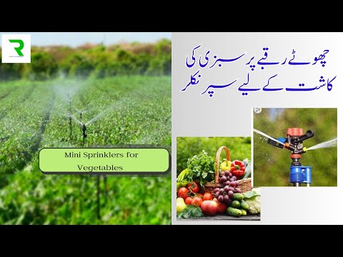 Plastic sprinkler irrigation system, for agricultural