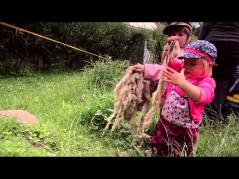 gemeinschaftsgetragene Landwirtschaft Kurzclip