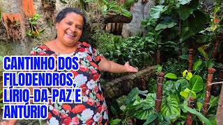 VLOG: + DE 15 FILODENDROS EXÓTICAS, LIRIO-DA-PAZ E ANTÚRIOS | DICAS DE CULTIVO E ORGANIZAÇÃO 