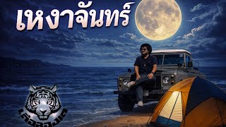 คอร์ดเพลง เหงาจันทร์ เสือสองเล คอร์ดเพลง เหงาจันทร์ เสือสองเล