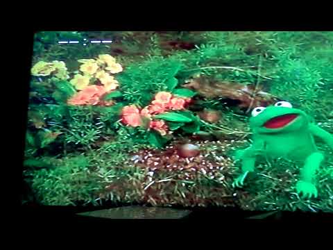 The Muppet Show Robin The Frog Some where's over the rainbows