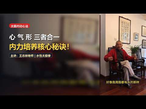 Unity of Mind, Qi & Body: Master Wang's Secrets for Cultivating Internal Jin