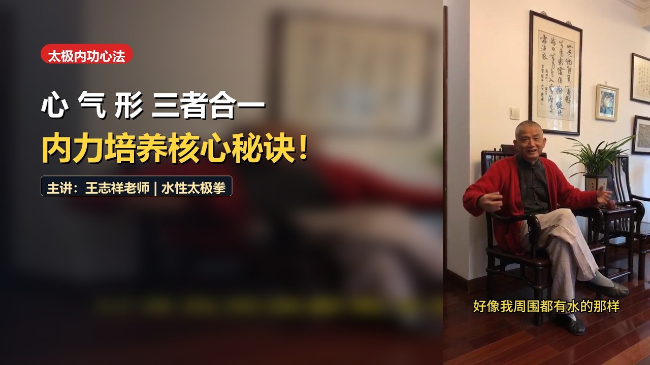 Unity of Mind, Qi & Body: Master Wang's Secrets for Cultivating Internal Jin