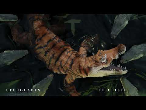 El Taiger , Alex Díaz , Bambina - Te Fuiste (Audio Oficial)