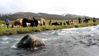 preview picture of video 'Icelandic horses in Iceland´s Pure nature'