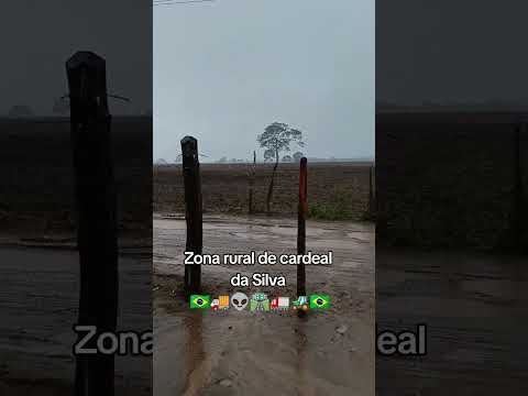 Zona rural de cardeal da Silva Bahia