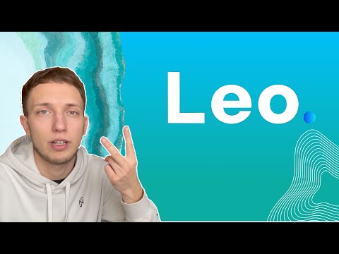 What is Leo language? | ALEO