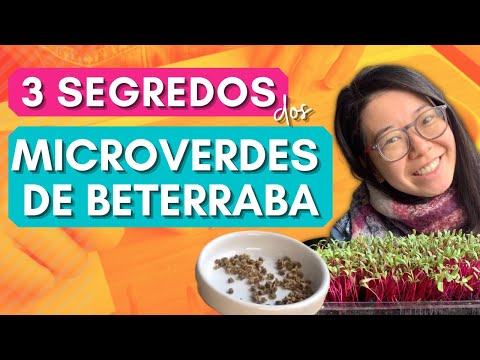 , title : 'SEGREDOS PARA PLANTAR MICROVERDES DE BETERRABA / MICROGREENS DE BETERRABA'