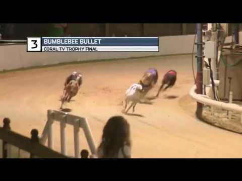 2019 CORAL TV TROPHY FINAL - T3 BUMBLEBEE BULLET