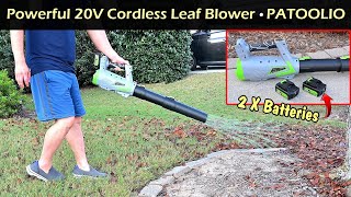 Powerful 20V Cordless Leaf Blower + 2 Batteries | Patoolio C1 Leaf Blower