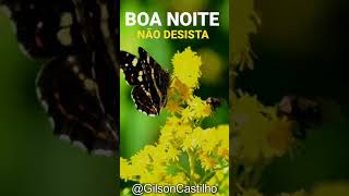 Mensagem de Boa Noite - Não Desista #boanoite
