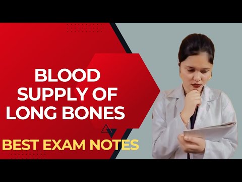 Blood supply and Nerve supply of Long bone - General Anatomy animations @kajaljhambbs