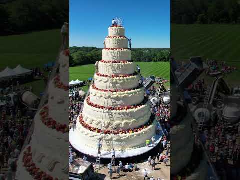 Biggest Cake in WORLD! #shorts #cake #biggestcake
