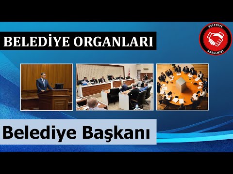 Belediye Başkanı Kimdir? Nasıl Görev Yapar? (Belediye Organları Serisi)