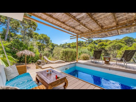 Finca auf Mallorca: Bamboo