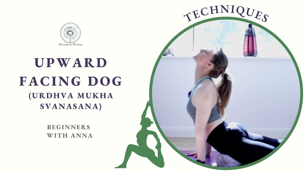 Upward Facing Dog (Urdhva Mukha Svanasana) - Technique