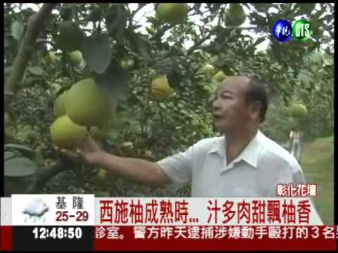 只要先預約 西施柚吃免驚!