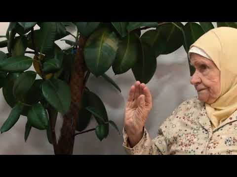 E harruara Nana Ajshe