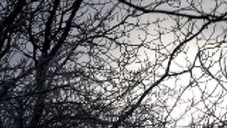 Mannheim Steamroller - Stille Nacht