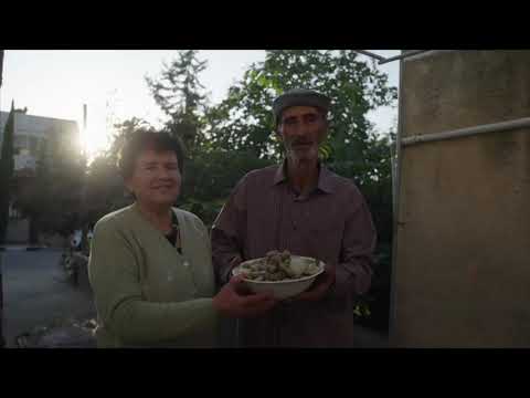 Grounded preopening eng