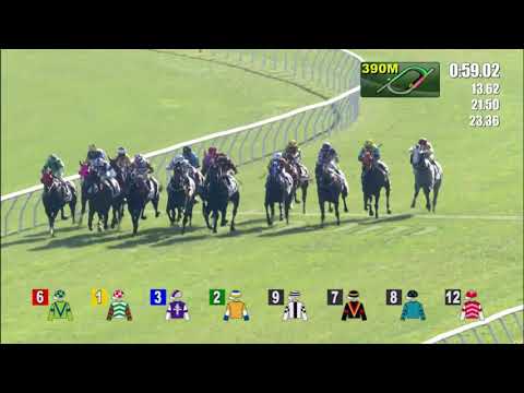 5/12/2021 (229) Millennium Falcon - Z Purton