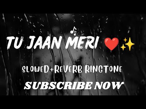 Tu Jaan Meri Tu Dil Hai ❤️❤️Slowed+Reverb Song Ringtone | Text Music And High Volume Ringtone | Dil